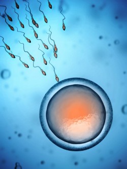 IVF Tschechischen Republik