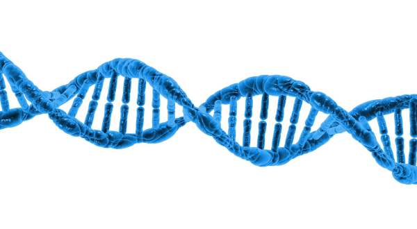 Was ist genetisches Präimplantationsscreening (PGS)?