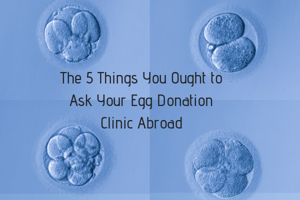 Fünf Dinge, die Sie Ihre ausländische Klinik zum Thema Eizellspende fragen sollten