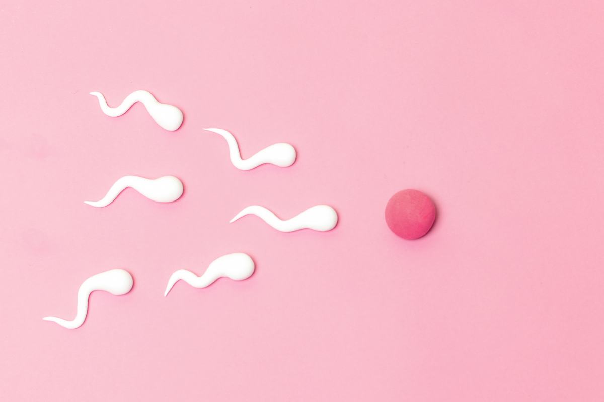 IVF mit Samenspende in Europa – Ratgeber