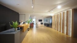 Heller Empfangstresen und großzügiges, modernes Wartezimmer der Kinderwunschklinik Fertility First mit Sitzbereichen, Pflanzen und Holzboden.