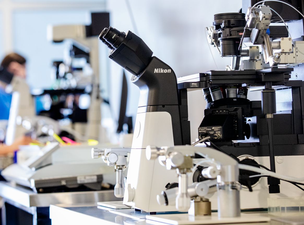 IVF-Embryologie-Labor der LeaderMed Klinik Georgien mit Nikon-Mikroskop für ICSI und Embryonenanalyse – High-Tech-Ausstattung für Kinderwunschbehandlungen.